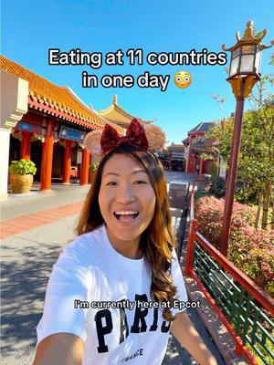Attempting to eat at all 11 countries in Epcot in one day 😳 Eating around the world at Epcot challenge completed ✅ #epcot #epcotfood #epcotworldshowcase 