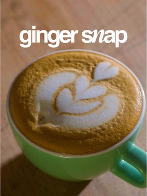 Our OG Ginger Slap Syrup  1 cup dark brown sugar (200g) 300 ml water 26 g molasses 15 g fresh ginger, finely chopped 1.5 g dry ginger 1 cinnamon stick, crushed 3 clove, crushed 3 g cardamom pods, crushed 1 g pink peppercorn, lightly crushed Vanilla paste, 1/4 tsp added after simmer Add everything except vanilla to a pot. Bring to a boil, then reduce heat and simmer until thick (15-20min). If you want to try it with pink peppercorn, add during the last 5 minutes of simmering. Remove from heat and add vanilla paste. Cool, strain, label, and refrigerate.