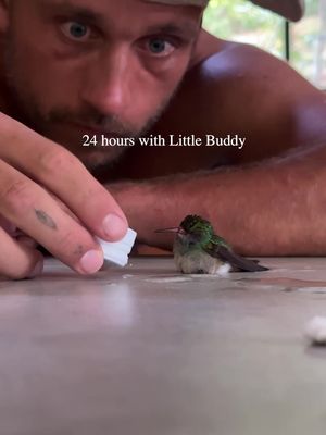 24 hours with Little Buddy