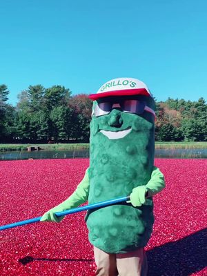 Sam Sam’s in the bog, pickles in the sauce, and we’re not stopping now. @Grillo's Pickles 