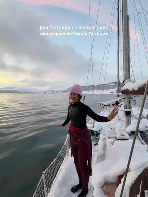 Jour 1 à essayer de ne pas me faire manger en plongeant avec les orques du Cercle Arctique hihihi (jk le plus grand prédateur de l’océan ne s’attaque pas aux humains). Wish me luck, on espère les trouver rapidement hehe!!🤞🏼 #norway #orque #plongee 