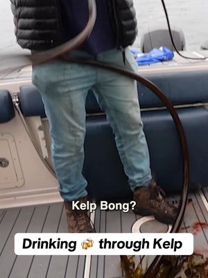 Kelp 🤝 🍻 