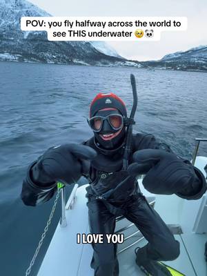 A DREAM COME TRUE 🥹🐋🐼❄️ Swimming with orcas has been at the top of my bucket list for as long as I can remember and I finally got to check it off here in the arctic circle of Norway! ⚡️🇳🇴 Nothing could have prepared me for this! It’s a feeling like no other… Something I know I will be chasing for the rest of my life! ✨💙 If you’re interested in experiencing this for yourself in 2026, DM ME the word “ORCA” 🐼