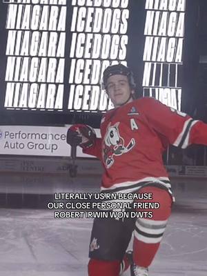 @Robert Irwin IceDogs game when mirrorball CHAMP?! #NiagaraIceDogs #OHL #hockeytiktoks #DWTS #RobertIrwin 