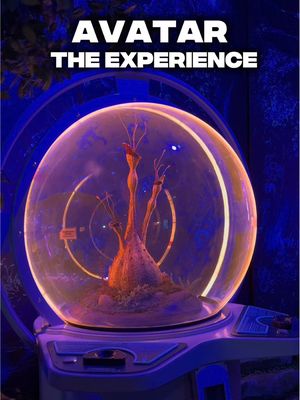 Te traigo un súper plan en Madrid que NO te puedes perder 🔥 Avatar: The Experience llegó por primera vez a Europa y está en Espacio Delicias por tiempo limitado. Adéntrate en Pandora, disfruta zonas inmersivas, bosques que brillan, un banshee a tamaño real y hasta puedes avatarizarte 🌀💙 🎟️ Entradas en Fever @Fever (link anclado en mi perfil) 💸 Usa mi código Portuvieira10 para descuento ⚡ 25% OFF Black Friday hasta el 1 de diciembre Nos vemos en Pandora, mi gente 🌌💙 #avatartheexperience #feverambassador #fever 