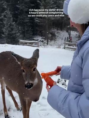 No regrets and I can’t wait to visit Parc Omega again! 🥹✨🦌 #parcomega #ottawatourism #quebec #visitcanada #canada 