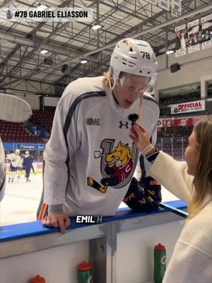 The picks are in… 🧸  #teddybear #qanda #question #ohl #teddybeartoss 