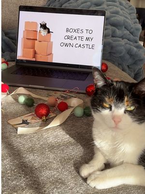 ok who told my cat it was black friday?? r.i.p. my wallet #FreshStep #BlackFriday #HolidaySeason #catsoftiktok #Funny