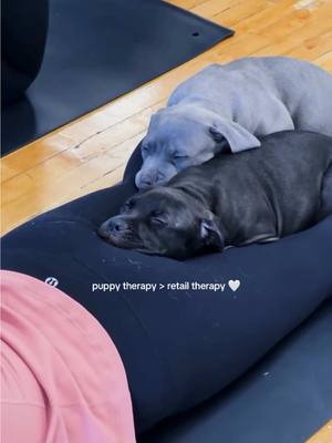 Puppy therapy > retail therapy 💁‍♀️ This is Black Friday for dog people, done right 🖤 This weekend only, enjoy 20% off or more on the best holiday gifts to give dog people: Puppy Sphere gift cards, tickets, AND Class Packs 🐶 Click the link in our bio to shop! #blackfriday #SelfCare #puppies #puppyyoga 