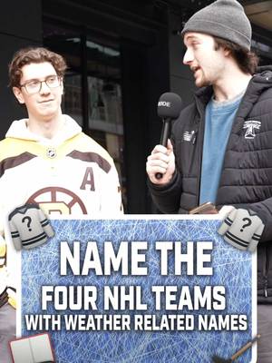 Can you name every weather related NHL team? 🤔🌦️ #NHL #hockey #chel #hockeytiktoks #hockeytok 
