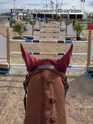 he truly WOWs me 🥹❤️ Ruby jumped the moon for me & earned himself a boatload of his favorite cookies after this one!!  #equestrian #equestrianlife #equestriansoftiktok #horselover #horsesoftiktoktok #showjumping #horseshow 