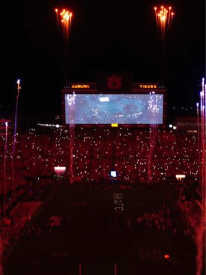 WAKE UP! IT’S GAMEDAY #auburnfootball #cfb #ironbowl 