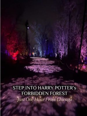I finally walked through the Harry Potter: Forbidden Forest Experience — and it truly feels like the films come to life under the trees. From glowing creatures to spell-casting moments and iconic scenes recreated in the woods, it’s such a fun and immersive winter activity. Click link in bio/stories to book your night under the lights. 📍 YMCA Camp Duncan, 32405 N US Hwy 12, Ingleside, IL 60041   #HPForbiddenForestExperience #thingstodoinchicago 