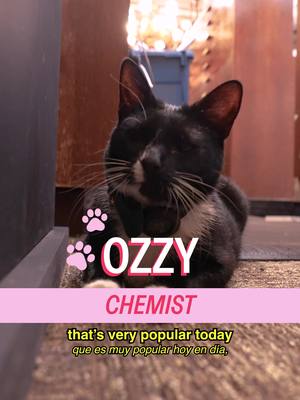 Meet Ozzy at CO Bigelow with an apothecary shopping spree brought to us by @Cash App 🐈‍⬛  A show by Mad Realities host @MICHELLADONNA  creative producer christian wallace shriver dp Joao Sanchez editor sean fitzmaurice design Alex Mi ae Ryan Novak pa blessing bafunso #cat #nyc #shopcats #cashapp