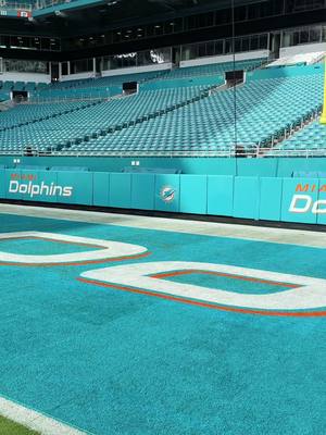 Fresh coat of aqua 🎨 #asmr #fieldpainting #nfl #dolphins 