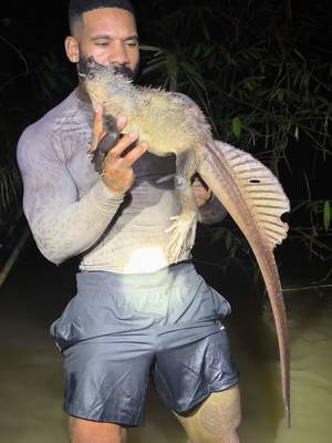 Catching sailfin dragons in crocodile river Sulawesi , Indonesia 🇮🇩 #fyp #tiktok #explore #lizard #animals 