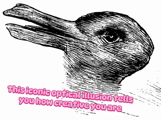 This iconic illusion kicks things off with a test of creativity vs logic. This is actually quite a common type of illusion, which uses both sides of your brain to show you two different images. In this case, it's a rabbit and a duck that play with your perception. Whether you see the rabbit or the duck first apparently tells you how creative you are. If you saw the rabbit first, the left hemisphere of your brain is dominant – the side responsible for logic and reason. If it was the duck that appeared first, you are probably more creative-led, as the right-hand side of the brain drives creativity and imagination. (Yes I realise there’s a typo in that slide - but it is the RIGHT brain responsive for creativity).  #opticalillusion #creativity 