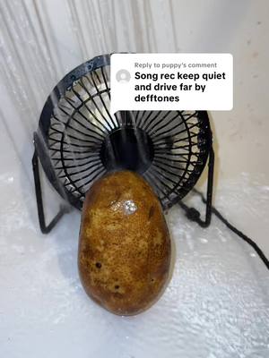 Replying to @puppy #potato #foryoupage #potatoes #fyp 