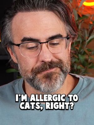 The Pain of Having Kids that want Cats Being alergic to cats is hard, epsecially when you have kids that really really want a cat.