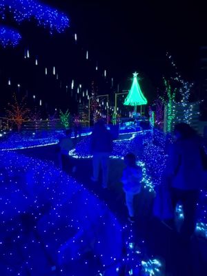 @Nauticus  out did themselves this year with adding the Snow Queen Kingdom to Winterfest! 👏🏽❄️  We had a great time walking through all the stations where there was photos with Santa, crafts for kids, talking polar bears, the Snow Queen, and more! I think this is something to definitely take the family to it’s so fun for kids but it also makes for a cute date night idea! 💙 Be sure to follow @nauticusnorfolk and view their website for ticket information. This ends December 31st so don’t miss out!  I also recommend going now while it’s not so cold as well!!  • • #norfolk #vabeach #virginia #virginiabeach #hamptonroadsva   