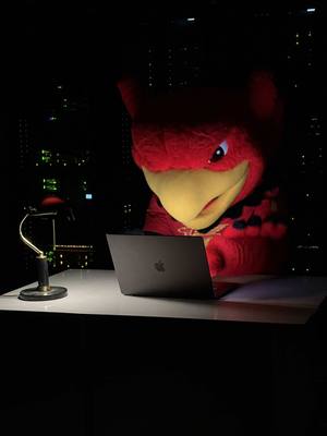 Chat, give us the best study tips and tricks for optimal exam success to share with our #UofG students during exam season.📚 From President Van Acker and all of us at U of G, good luck on exams Gryphons -- you got this! ❤️🖤💛 *This caption was not written by AI or a school mascot. #UofGuelph #ExamPrep #StudyTips #Guelph