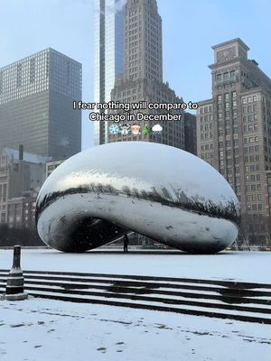 Happy December 1, Chicago ❄️ #chicagotiktok #chicagowinter #chicagochristmas #chicagosnow #chicagolife 