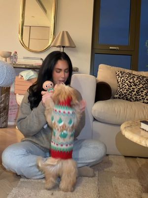 Blueberry looked the cutest in her @Pets at Home knit🥺🎀🎄✨ so many amazing bits in there for Christmas 🎀💕#AllForPets ad