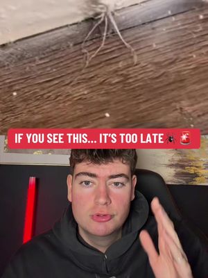 Why you actually WANT this alive…