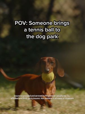 Any ball at the dog park becomes a community ball. Those are the rules.