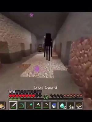 does he have armor? @lunatics_geris #Minecraft #mc #minecraftfyp #minecraftfunny #viral #gaming #armor #fyp #fypシ