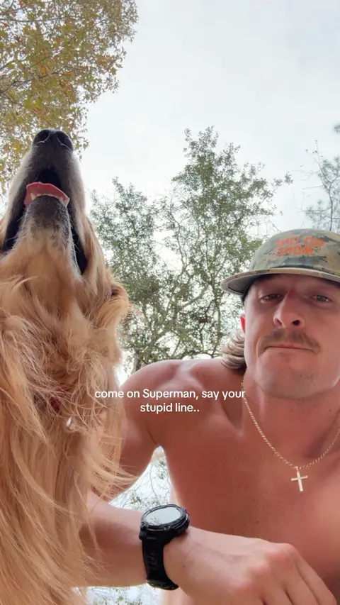 #caffeine #Running #goldenretriever