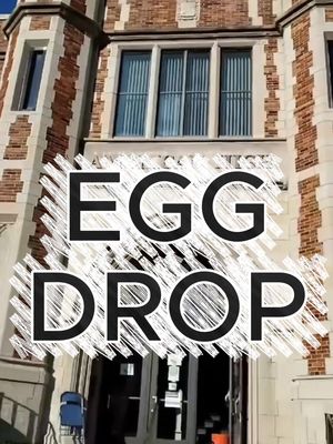 ever wonder what we do when we’re not making movies or shorts? class projects! presenting: THE EGG DROP! #americanhigh #americanhighshorts #collegelife #eggdrop #experiment 