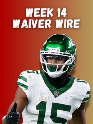 Fantasy Football Waiver Wire Week 14 #nflcontent #fantasyfootball #fantasyfootballrankings #waiverwire #fantasyfootballadvice  Fantasy Football Rankings Fantasy Football Waiver Wire NFL Week 14