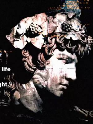 I like this editing style, might do more of it. #quote #philosophy #nichetok #flourishingphilosophy #fyp 