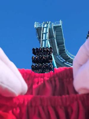 front row on emperor is at the top of our Christmas list this year! #seaworld #seaworldsandiego #emperor  #themeparktiktok #rollercoastertiktok 