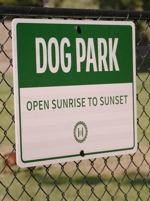 The dog park? Unpredictable. Your coverage? Shouldn’t be. 👀 #ProgressivePetInsurance