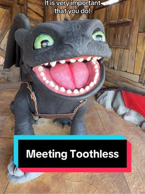 When in Berk, pet a dragon 🥹 #IsleOfBerk #EpicUniverse #Toothless #HTTYD #Trend