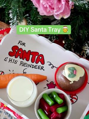 🎅📞 Santa called. He wants this plate out on Christmas Eve! 🎁​ 💡 Here's a sweet, hands-on craft activity idea for your little elves.🎄​ #DLMakesItBetter #PalmOilFree #Christmas #SantaPlate #christmascrafts 
