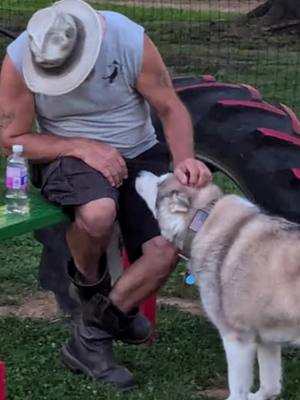 #CapCut #rainbowbridge🌈 #alaskinmalamute #bestfriend Goodbye ol girl you will forever be in our hearts 💕-the Oakley’s adventures family