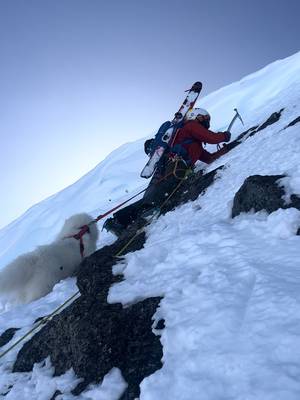 When you need to walk your dog at 8 but then climb a mountain at 9 😮‍💨 Rab dogs are built different.  #wintermountaineering #winterhiking #mountains #dogtok 