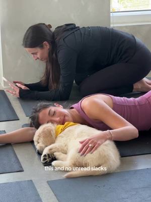 This could be you this weekend 👀 Toronto, we heard you: Golden Retriever puppy yoga is back again this weekend in our Glow Studio! 💛 🗓️ Saturday, Dec 6th & Sunday, Dec 7th 📍 639 Queen Street W 🔗 Grab tickets at the link in our bio before they’re gone! #goldenretriever #goldenpuppy #puppy #puppyyoga 