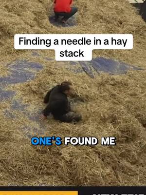Dude was literally playing in the hay moments before finding the needle  @barstoolafterdark 