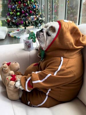 Looking like a snack 🍪🔥 #cookies #asmr #dogsoftiktok 