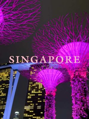 BLACKPINK WORLD TOUR [DEADLINE] IN SINGAPORE 🌸 #BLACKPINK #블랙핑크 #WORLDTOUR #DEADLINE #DEADLINE_IN_SINGAPORE 