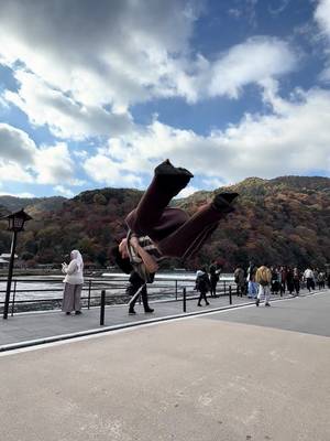 京都きれーすぎ