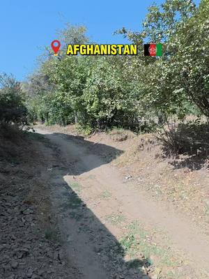 Afghanistan - I learned about the Hazara people #mikeokay #travel #afghanistan🇦🇫 #hitchhiking