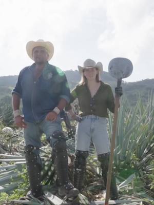 Making tequila was way harder than I thought #farming #agave #business #jimador #mexico 