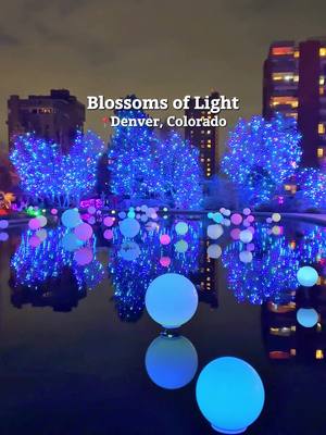 Looking for a festive family outing? Wander through a wonderland of lights at the Denver Botanic Gardens! ✨ Happening now through January 11th.