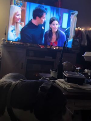 Update 14 of @jessegraybill watching Friends for the first time. Sorry for being out of order again lol 😂 Just too good not to share. #Friends #watchingforthefirsttime #backpacking #westerneurope #kenadams 