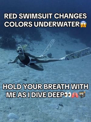 Can you hold your breath through this ENTIRE video?👀🫁🤿 It’s WILD how quickly color disappears underwater!  #Hawaii #freediving #ocean #oceangirl #diving 